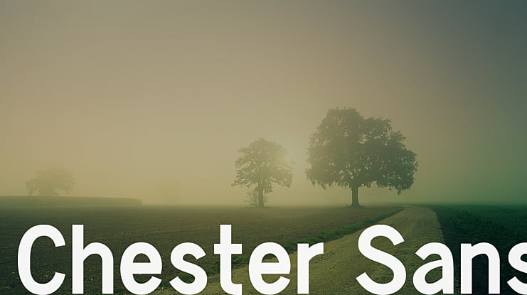 Chester Sans Font