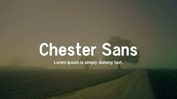 Chester Sans Font