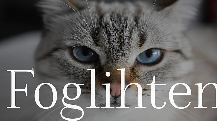 Foglihten Font Family