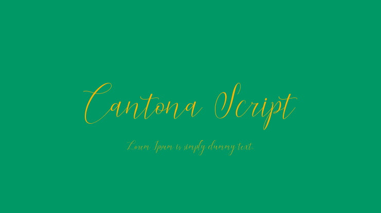 Cantona Script Font