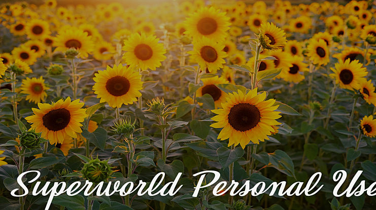 Superworld Personal Use Font