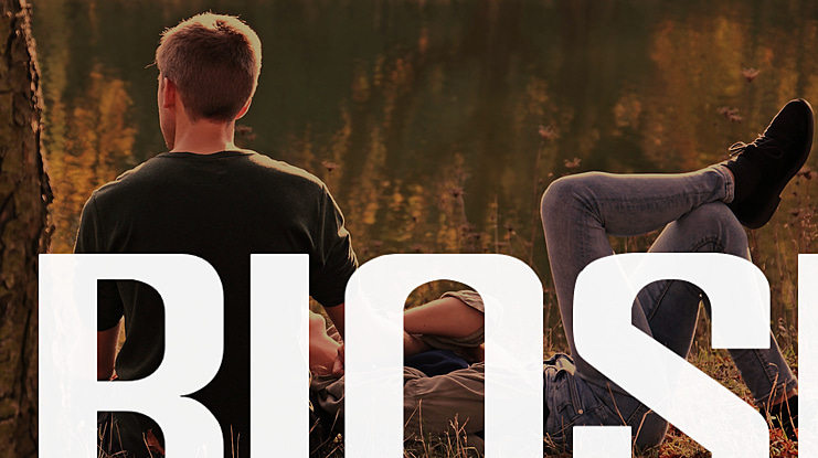 BIOSI Font