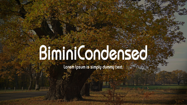 BiminiCondensed Font
