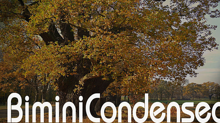 BiminiCondensed Font