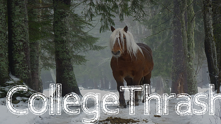 CollegeThrash Font
