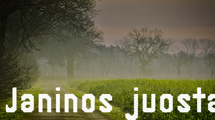 Janinos juosta Font