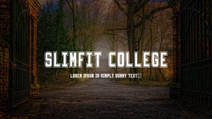 Slimfit College Font Family