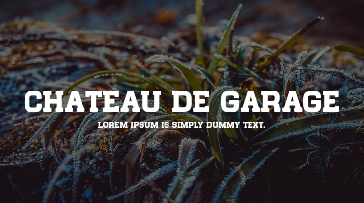 Chateau de Garage Font