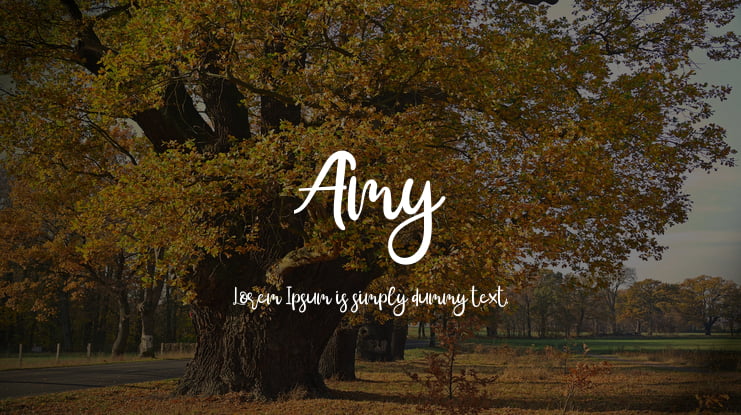 Amy Font