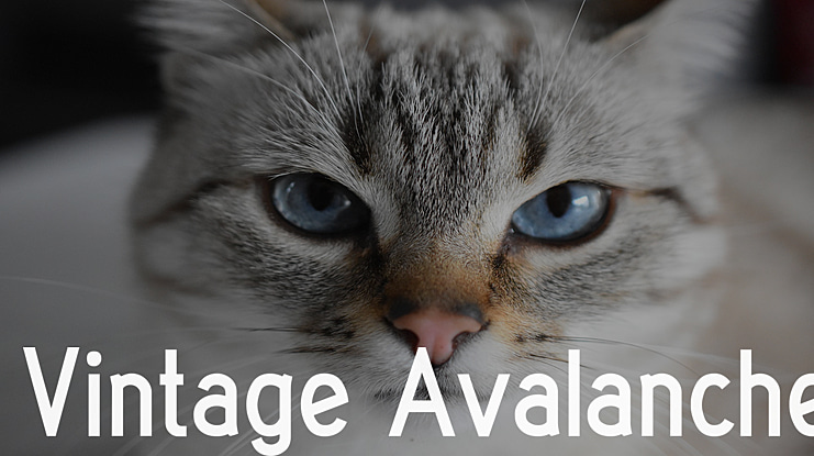 Vintage Avalanche Font Family