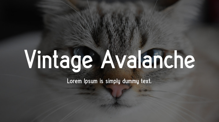 Vintage Avalanche Font Family