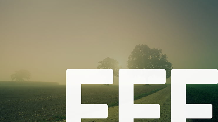 FFF Font Family