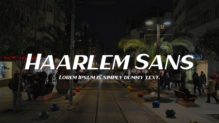 Haarlem Sans Font Family