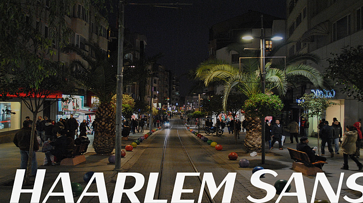 Haarlem Sans Font Family