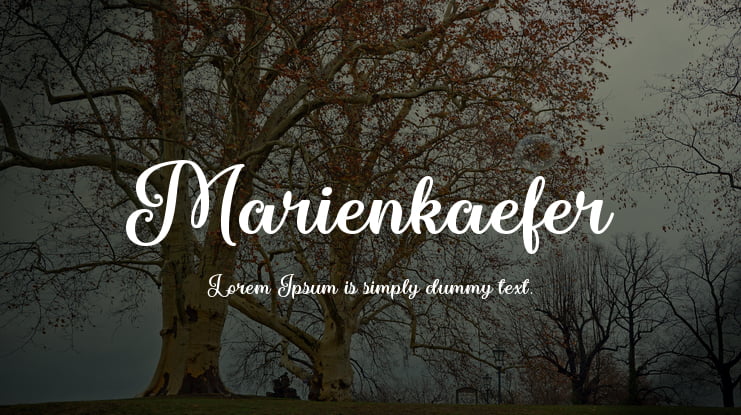 Marienkaefer Font