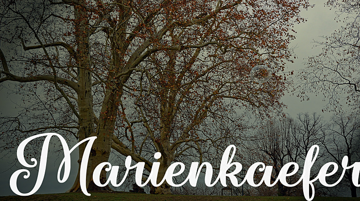 Marienkaefer Font