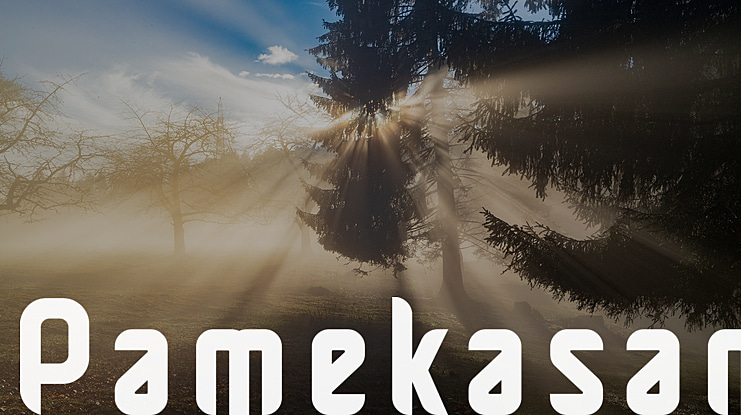 Pamekasan Font Family