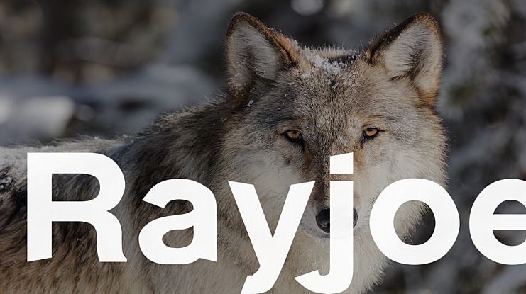 Rayjoe Font