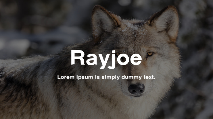 Rayjoe Font
