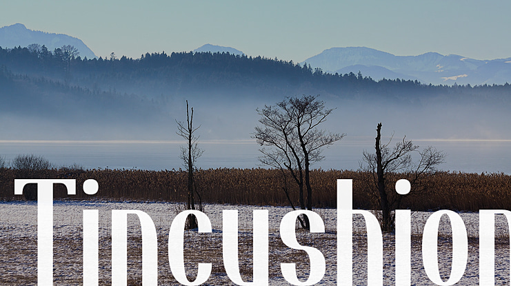 Tincushion Font Family
