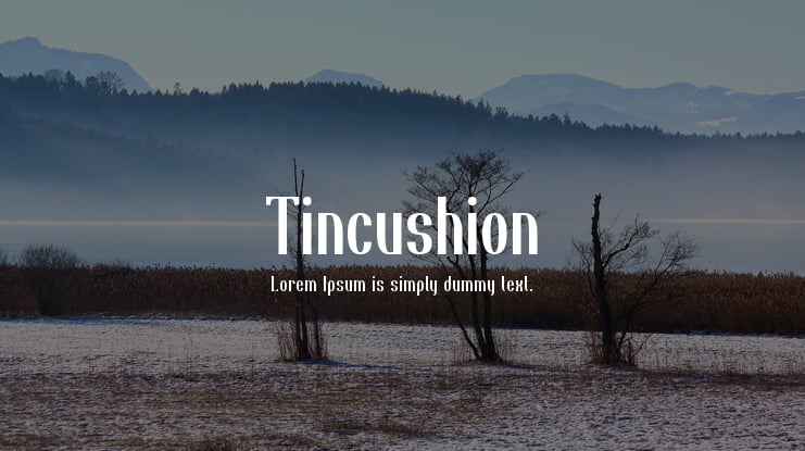 Tincushion Font Family
