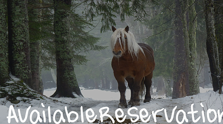 AvailableReservation Font