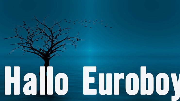 Hallo Euroboy Font