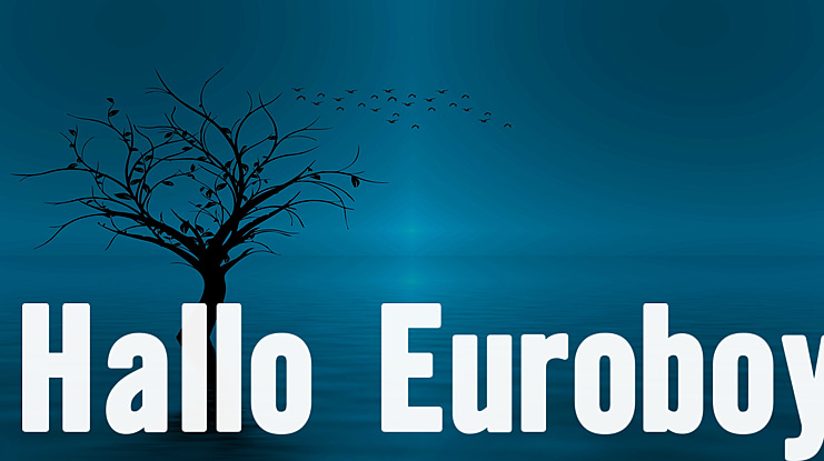 Hallo Euroboy Font