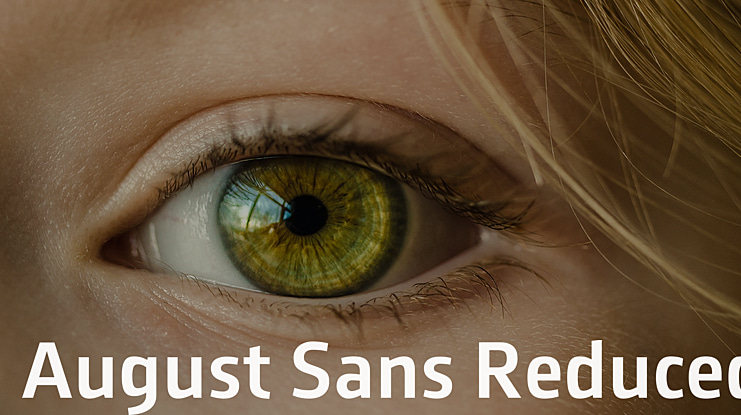 August Sans Reduced Font Family