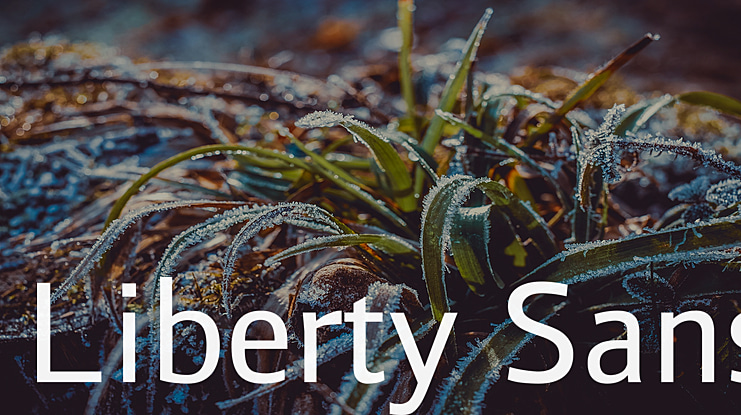Liberty Sans Font