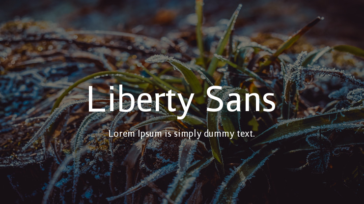 Liberty Sans Font