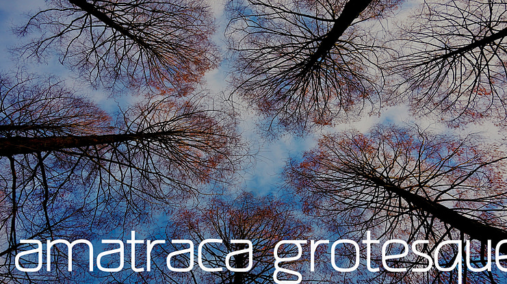 amatraca grotesque Font