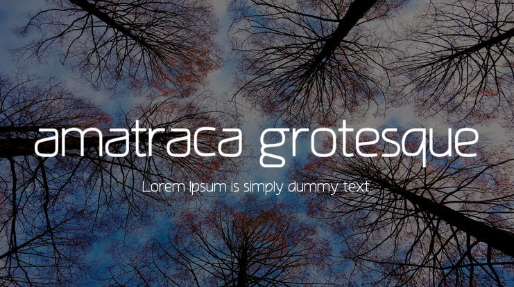 amatraca grotesque Font