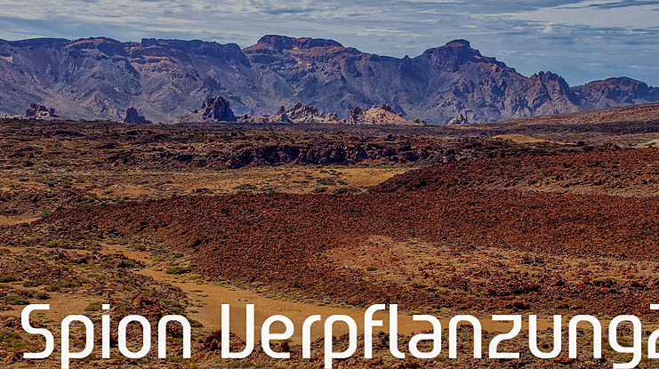 Spion Verpflanzung2 Font