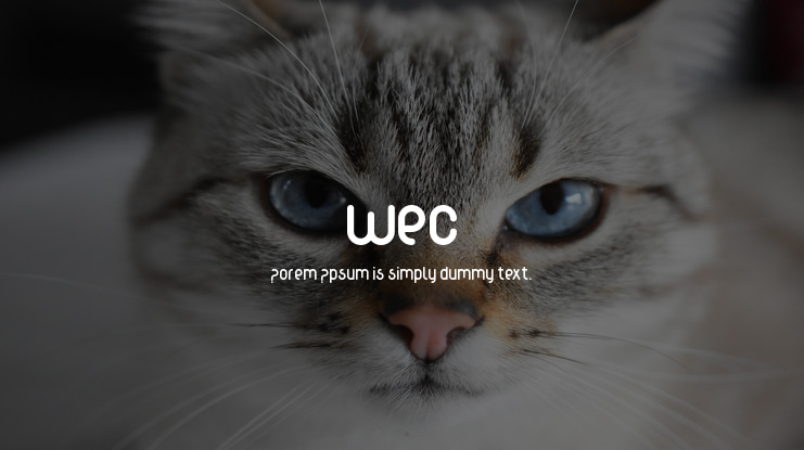 wec Font Family