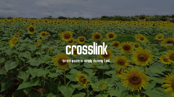 Crosslink Font