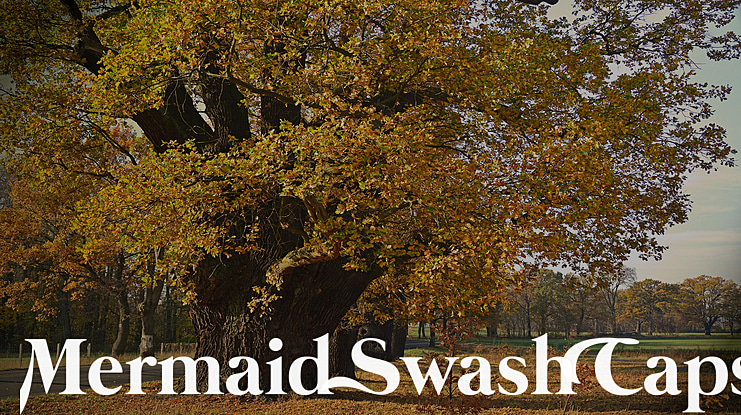 Mermaid Swash Caps Font Family