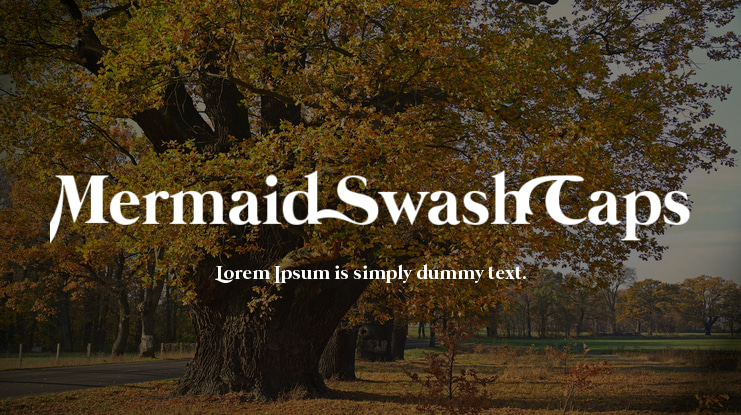 Mermaid Swash Caps Font Family