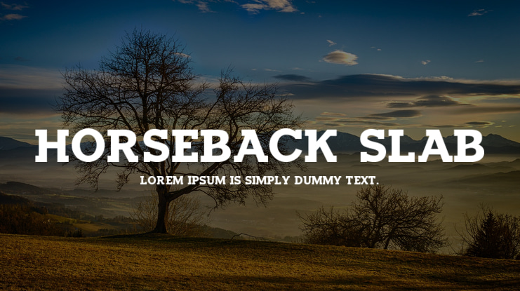 Horseback Slab Font