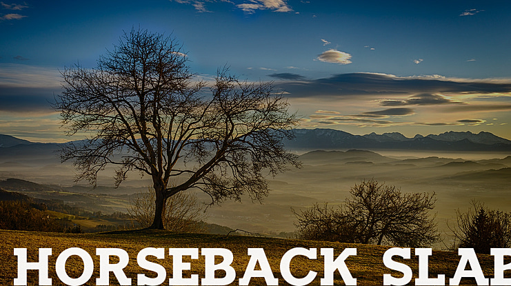 Horseback Slab Font