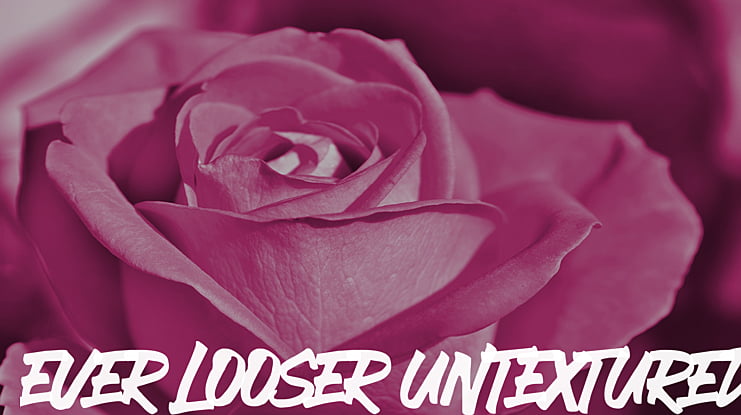 EVER LOOSER UNTEXTURED Font Family