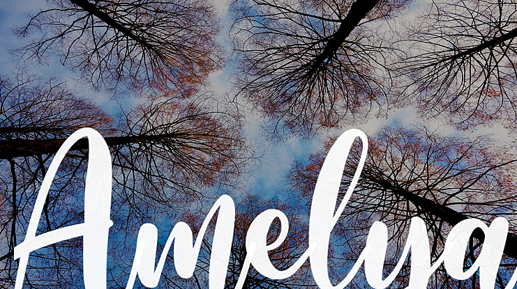 Amelya Font