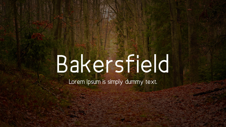 Bakersfield Font Family