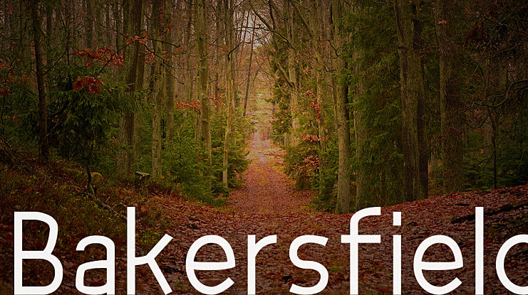 Bakersfield Font Family