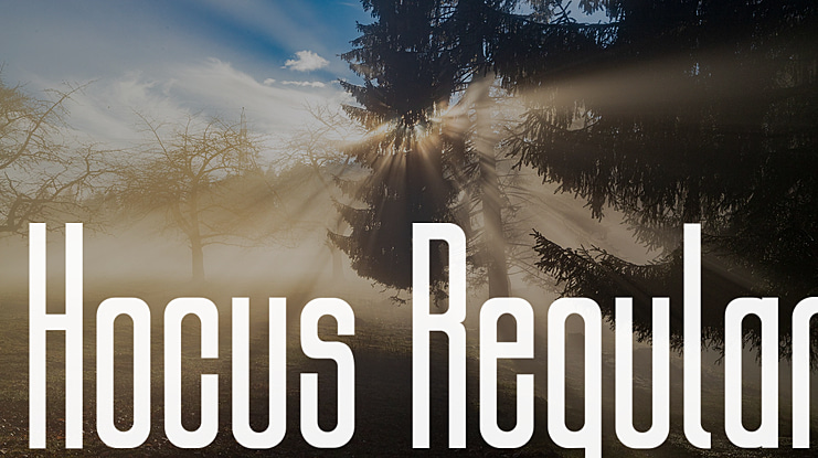 Hocus Font