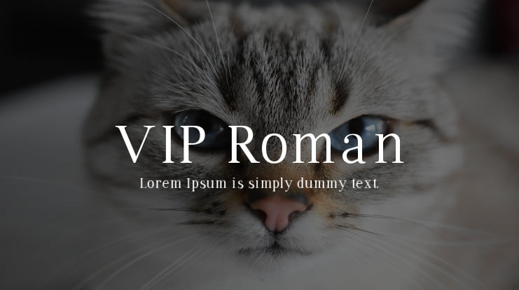 VIP Roman Font