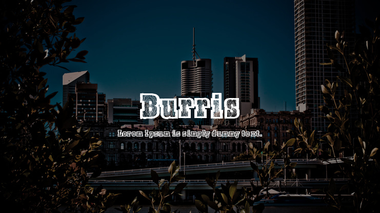 Burris Font Family