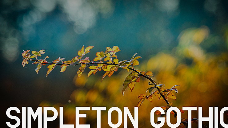 Simpleton Gothic Font