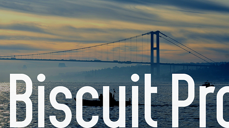 Biscuit Pro Font