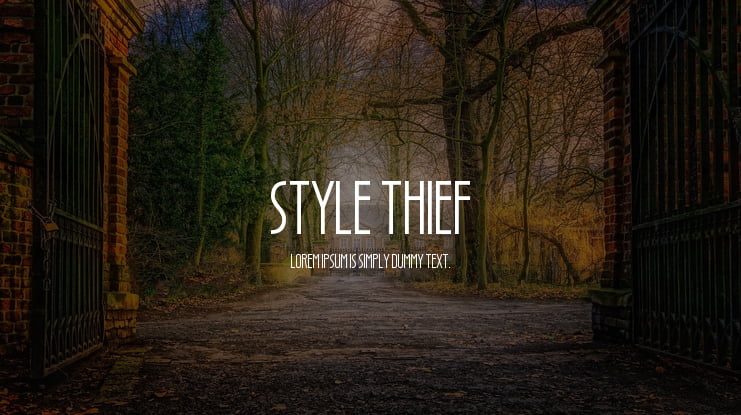 Style Thief Font